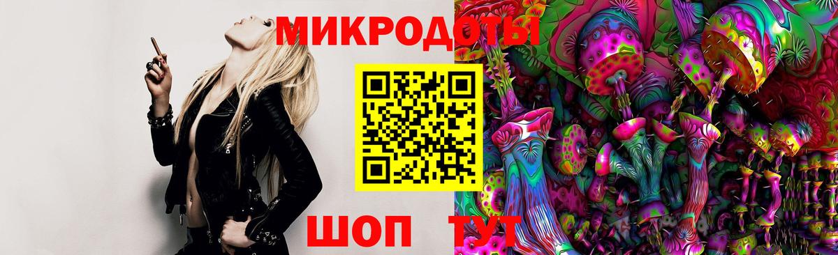 сколько стоит  Псилоцибиновые грибы MAGIC MUSHROOMS  Вход с VPN  Псилоцибиновые грибы MAGIC MUSHROOMS  Тулун 